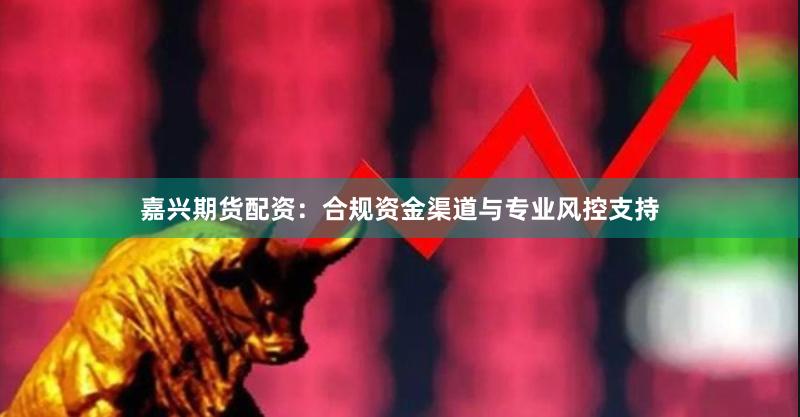 嘉兴期货配资：合规资金渠道与专业风控支持